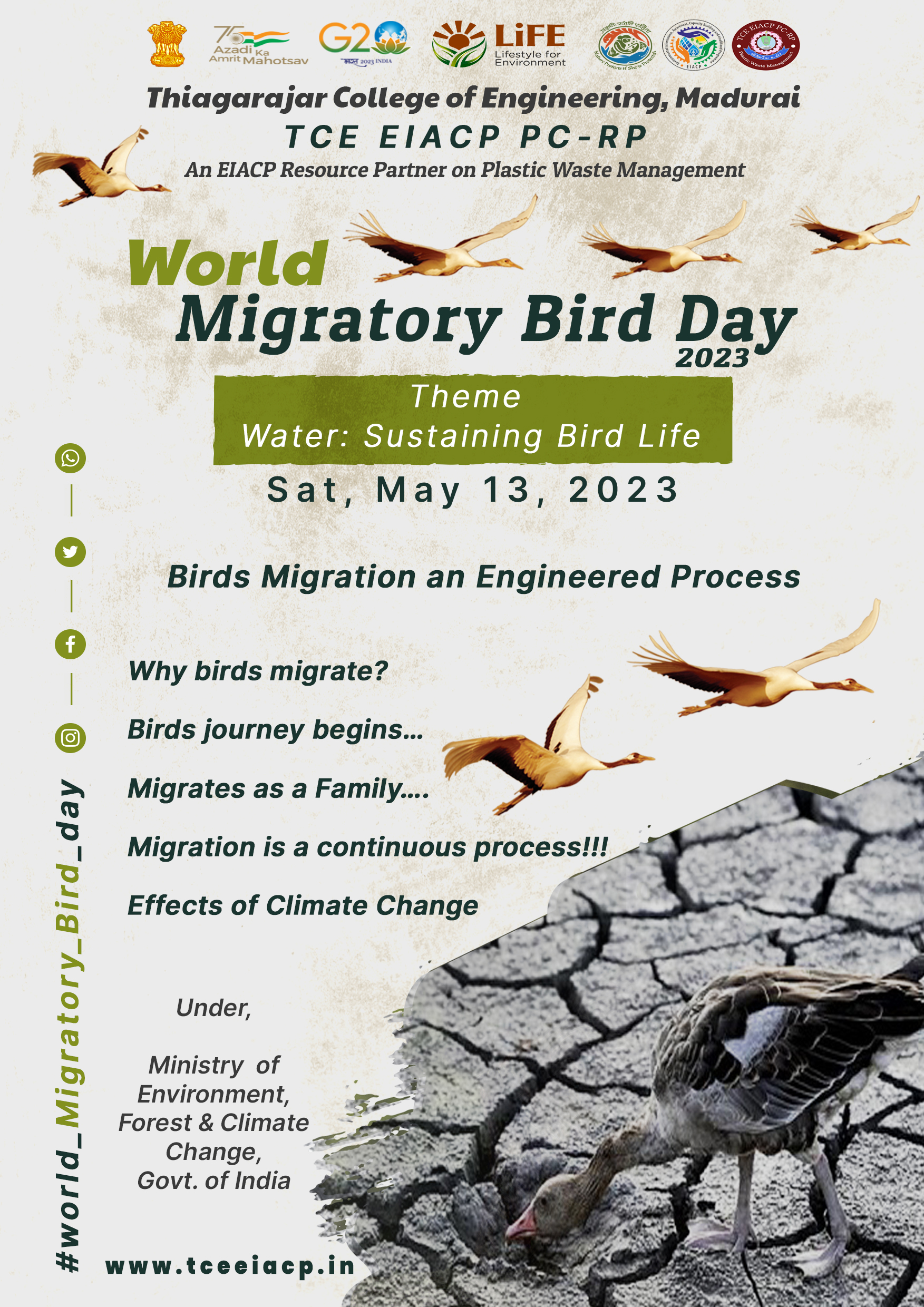 World Migratory Bird Day 2023